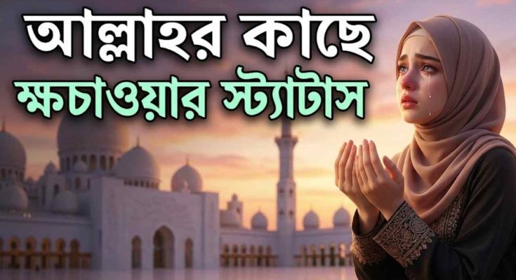 আল্লাহর কাছে ক্ষমা চাওয়ার স্ট্যাটাস